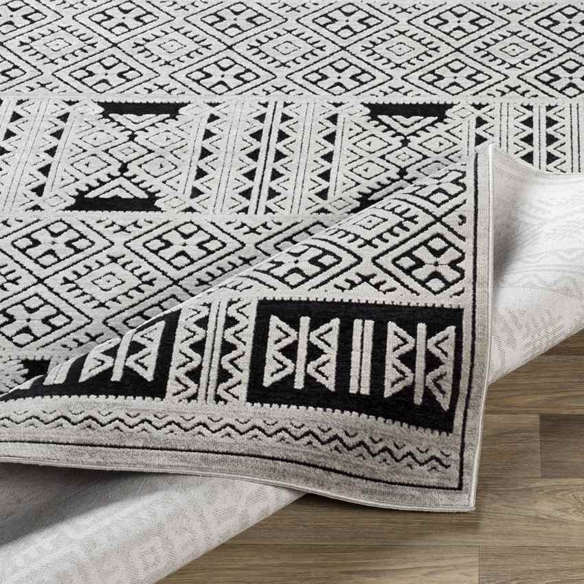 Holsloot Global Silver Gray Area Rug