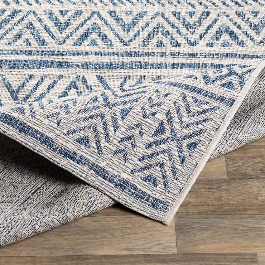 Elodie Global Denim Area Rug