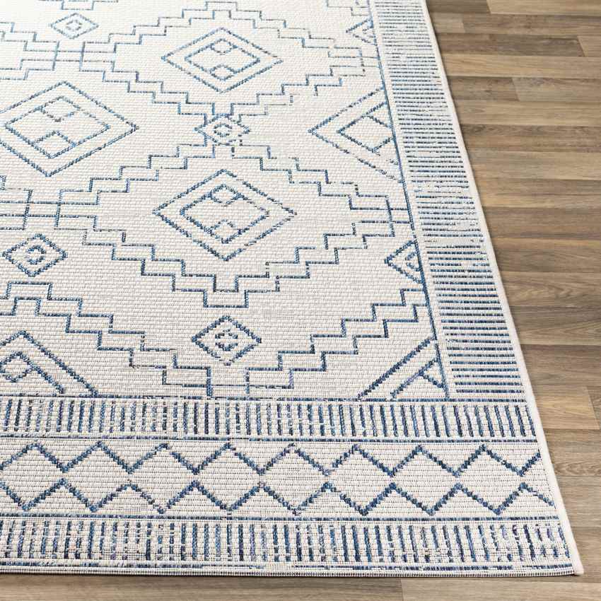 Midlaren Global Navy Area Rug