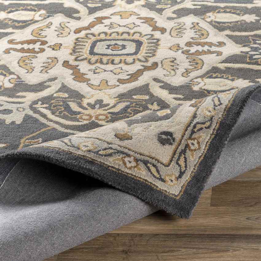 Roblin Traditional Charcoal Area Rug