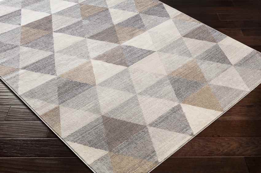 Oshaar Modern Medium Gray Area Rug