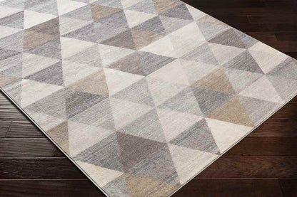 Oshaar Modern Medium Gray Area Rug
