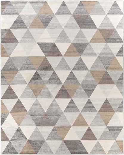 Oshaar Modern Medium Gray Area Rug