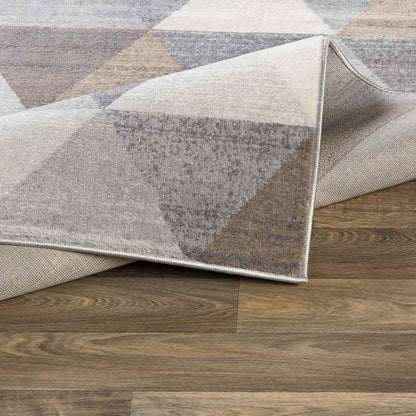 Oshaar Modern Medium Gray Area Rug