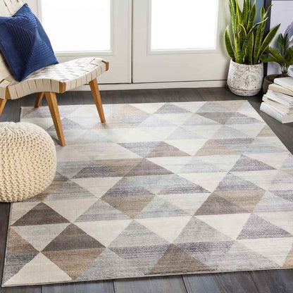 Oshaar Modern Medium Gray Area Rug