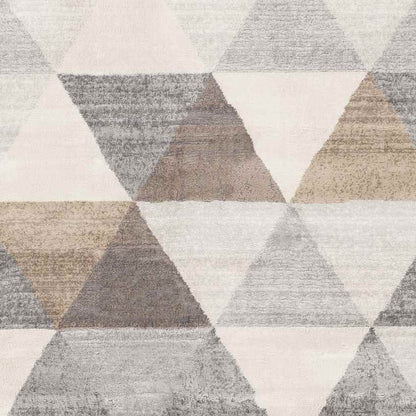 Oshaar Modern Medium Gray Area Rug