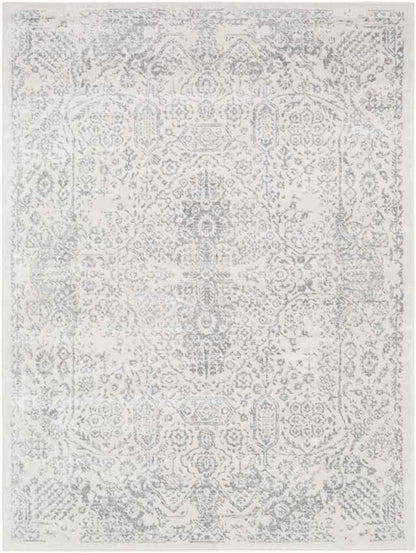 Peize Traditional Medium Gray Area Rug