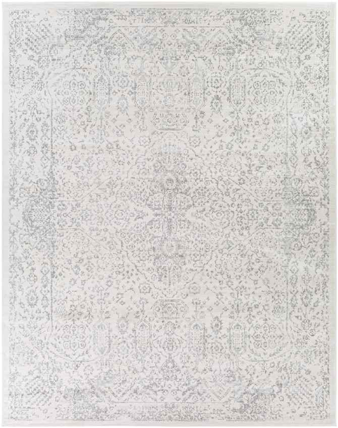 Peize Traditional Medium Gray Area Rug
