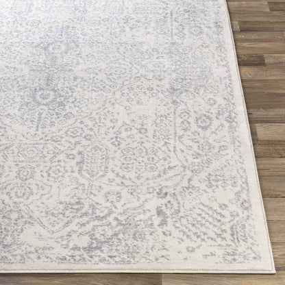 Peize Traditional Medium Gray Area Rug