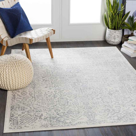 Peize Traditional Medium Gray Area Rug
