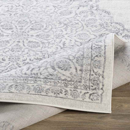 Pieperij Traditional Medium Gray Area Rug