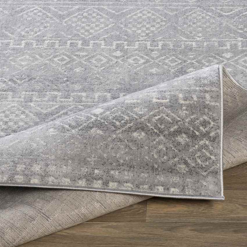 Roswinkel Global Medium Gray Area Rug