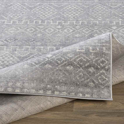 Roswinkel Global Medium Gray Area Rug