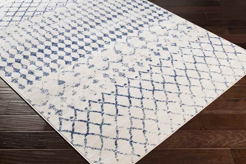 Ruinen Global Dark Blue/White Area Rug