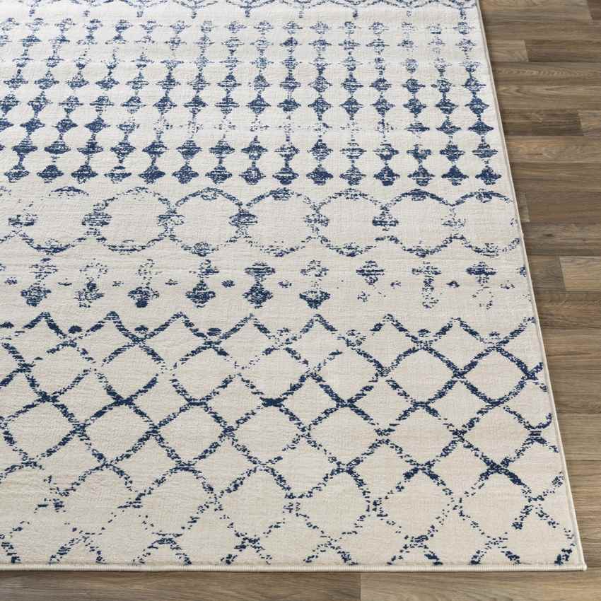 Ruinen Global Dark Blue/White Area Rug