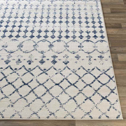 Ruinen Global Dark Blue/White Area Rug