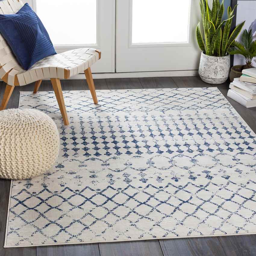 Ruinen Global Dark Blue/White Area Rug