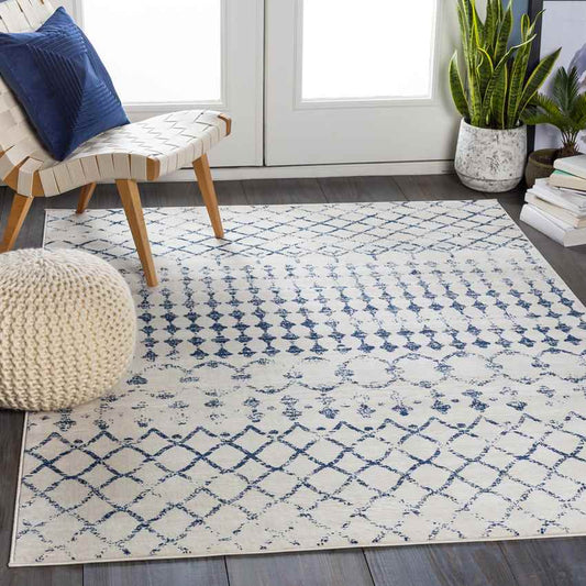 Ruinen Global Dark Blue/White Area Rug