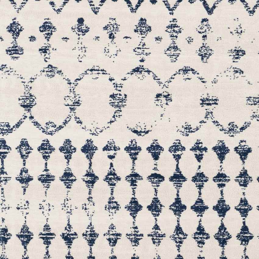 Ruinen Global Dark Blue/White Area Rug