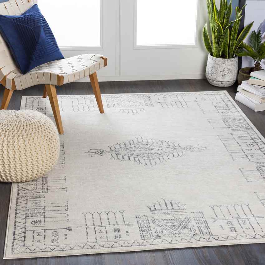 Sandebuur Global Medium Gray Area Rug