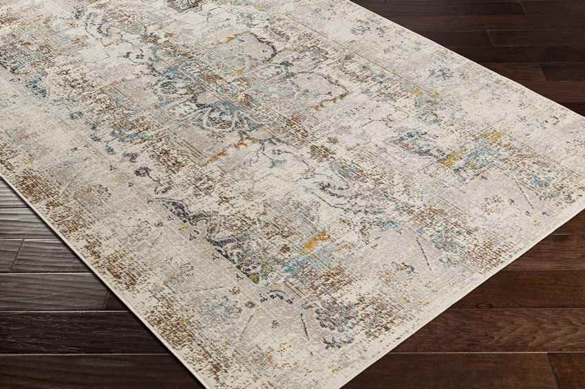 Streek Traditional Taupe Area Rug