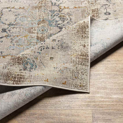 Streek Traditional Taupe Area Rug