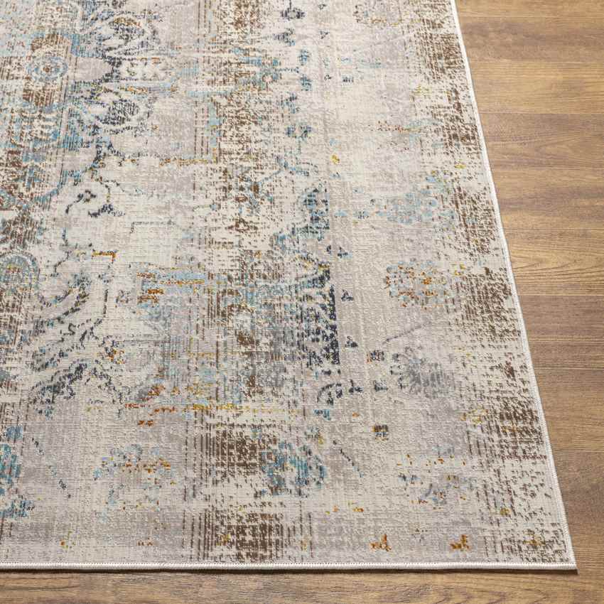 Streek Traditional Taupe Area Rug