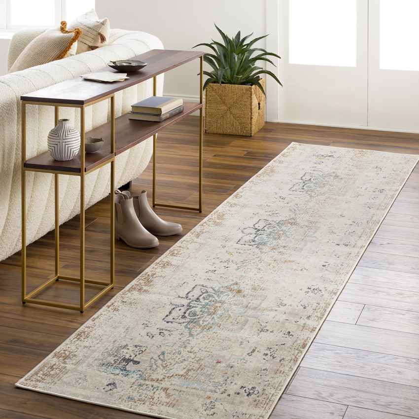 Streek Traditional Taupe Area Rug