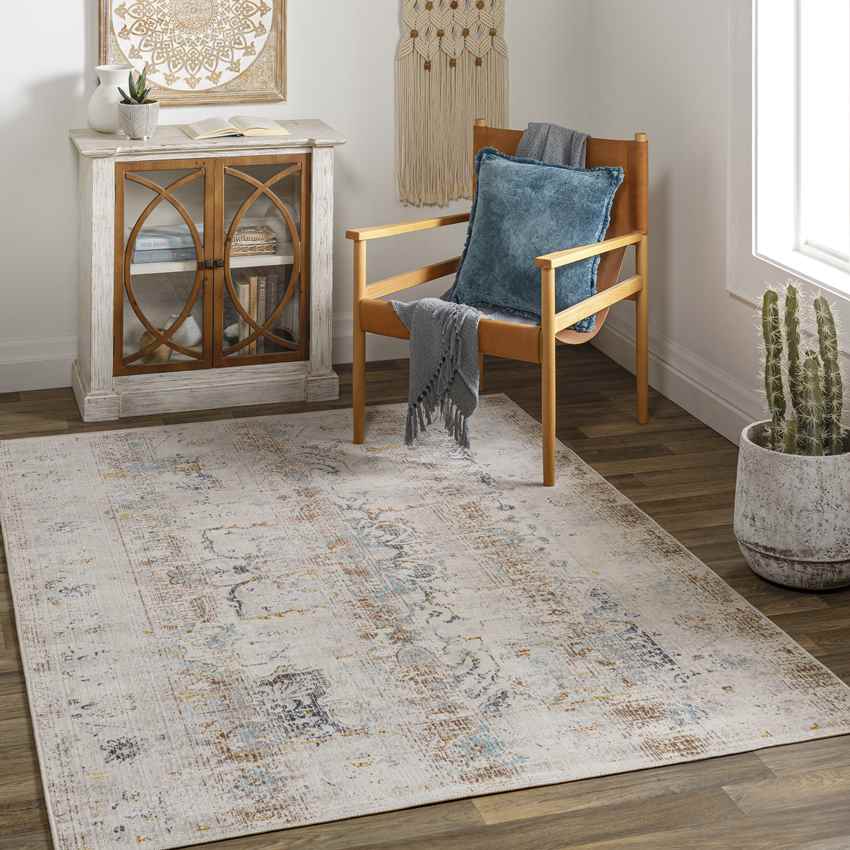 Streek Traditional Taupe Area Rug