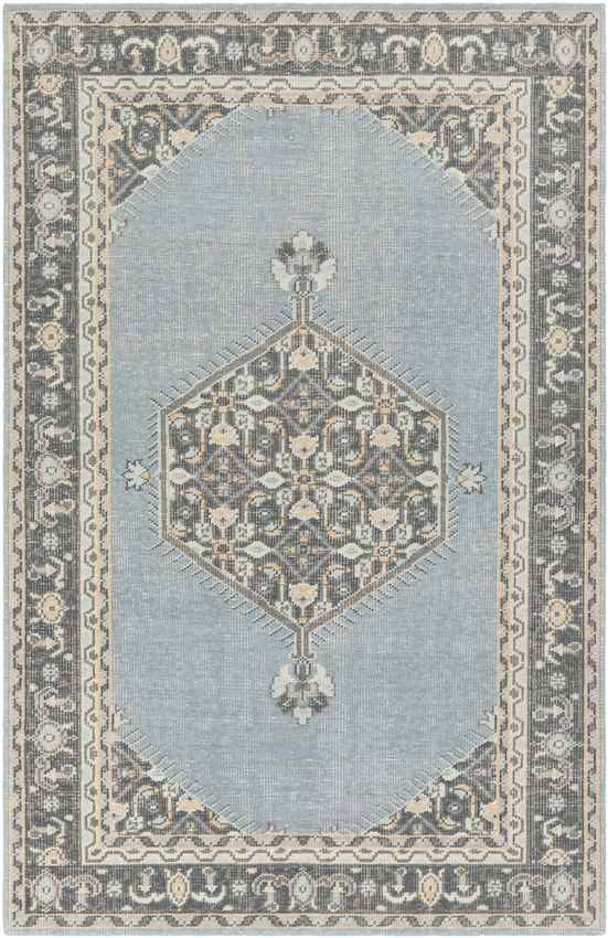 Torenveen Traditional Aqua Area Rug