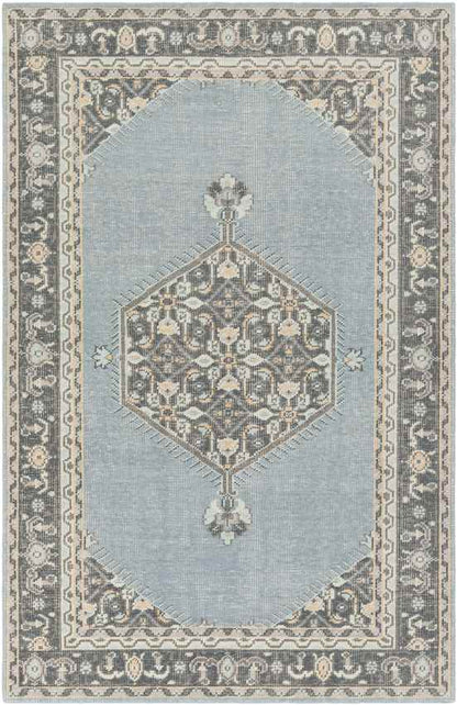 Torenveen Traditional Aqua Area Rug