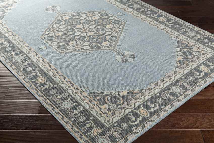 Torenveen Traditional Aqua Area Rug
