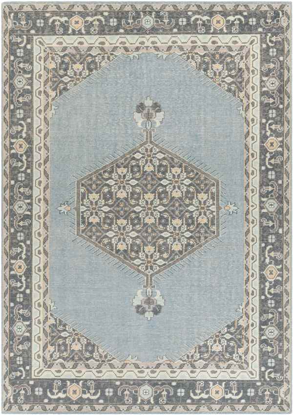 Torenveen Traditional Aqua Area Rug