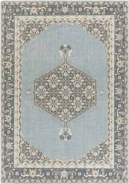 Torenveen Traditional Aqua Area Rug
