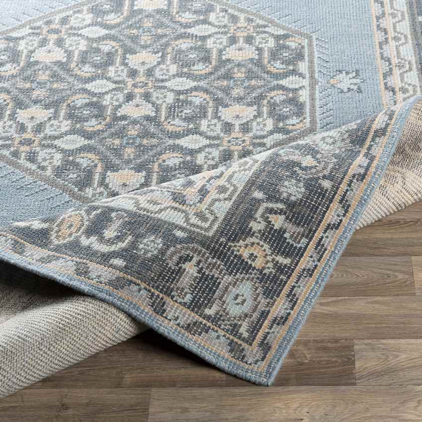 Torenveen Traditional Aqua Area Rug