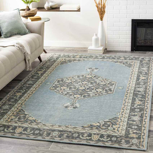 Torenveen Traditional Aqua Area Rug