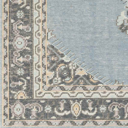 Torenveen Traditional Aqua Area Rug