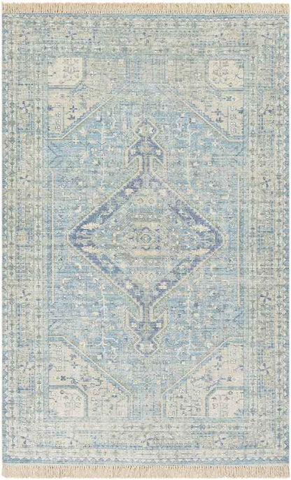 Winde Traditional Sky Blue Area Rug