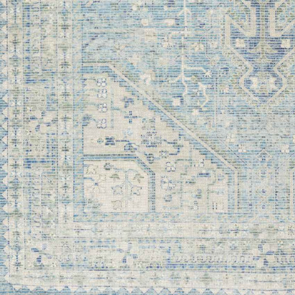 Winde Traditional Sky Blue Area Rug