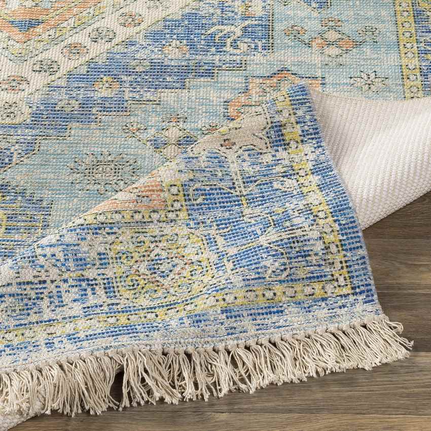 Sandiacre Traditional Sky Blue Area Rug