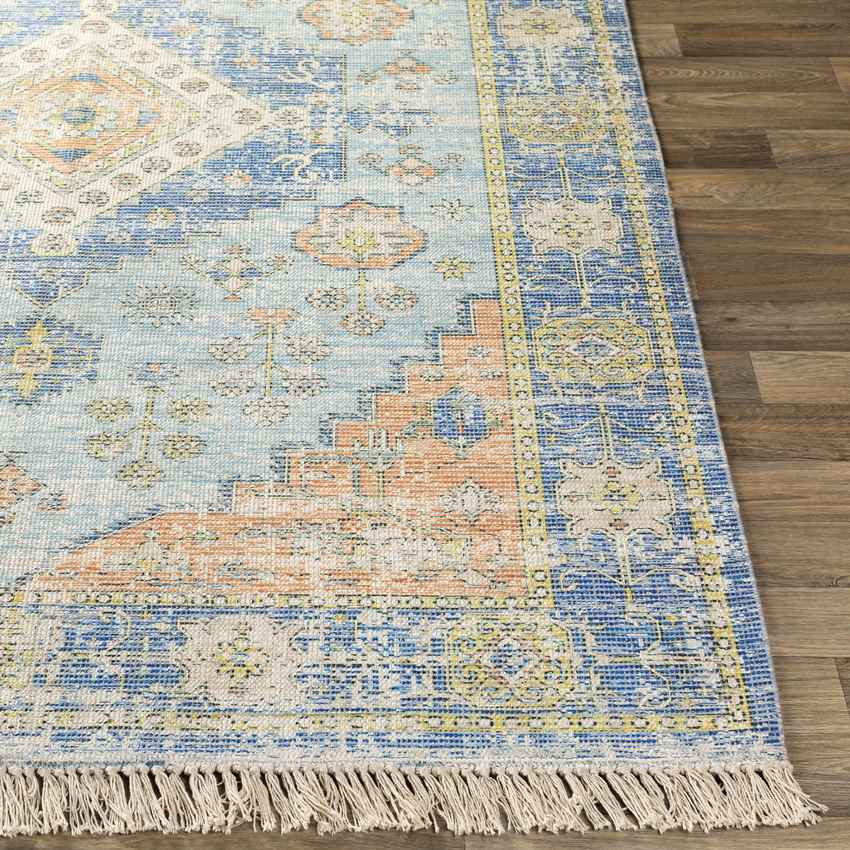 Sandiacre Traditional Sky Blue Area Rug