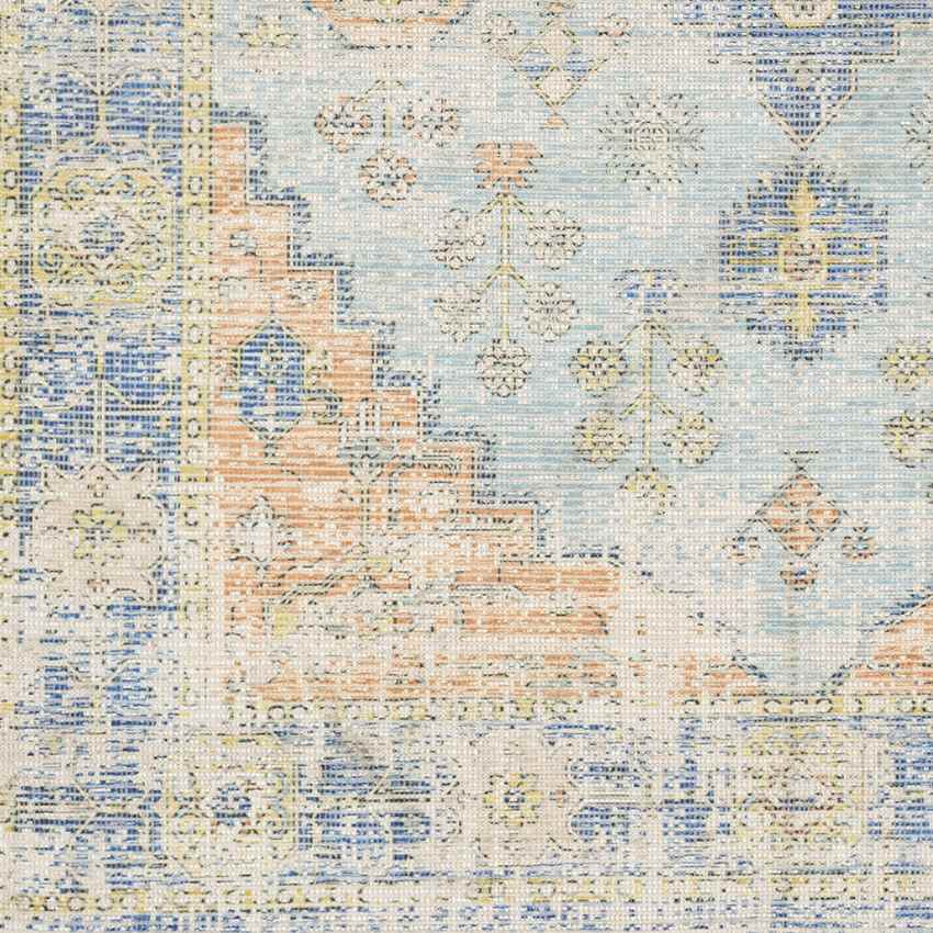 Sandiacre Traditional Sky Blue Area Rug