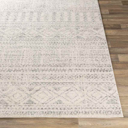Zandpol Global Light Gray Area Rug