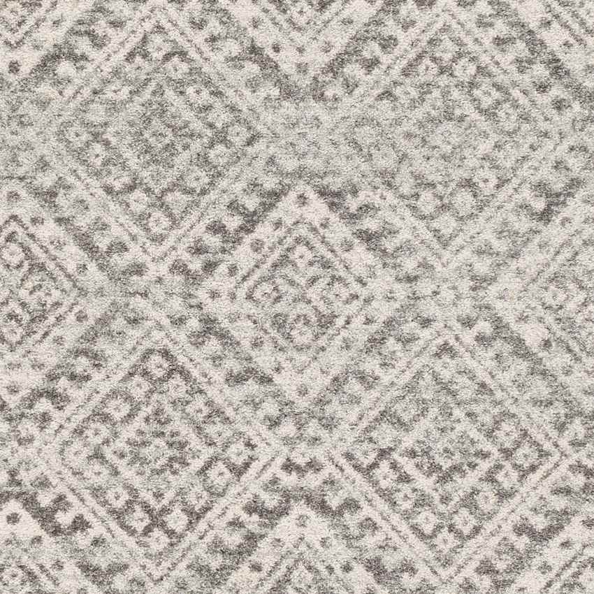 Zeijen Global Medium Gray Area Rug