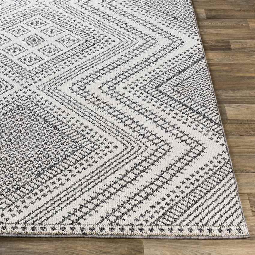 Ripley Global Medium Gray Area Rug