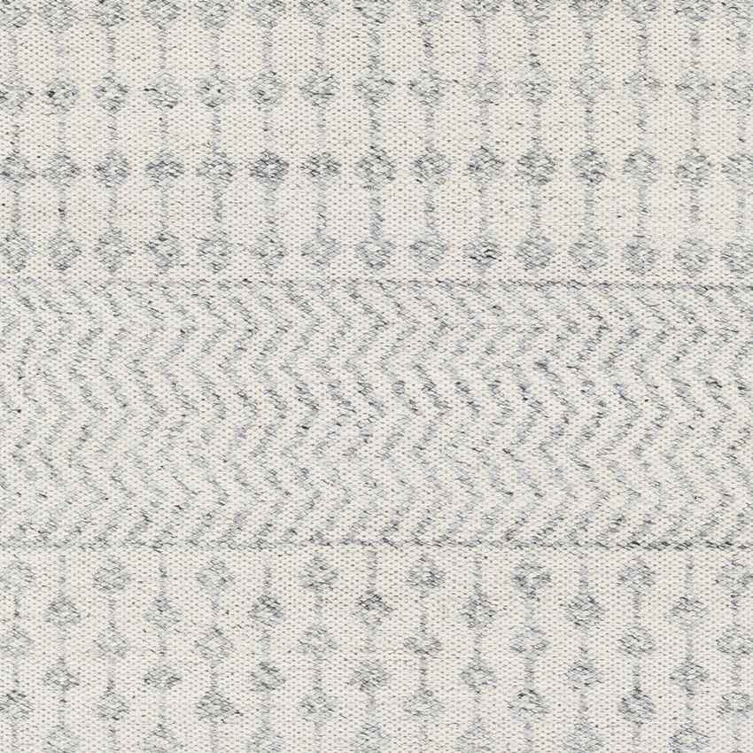Beemster Global Medium Gray Area Rug
