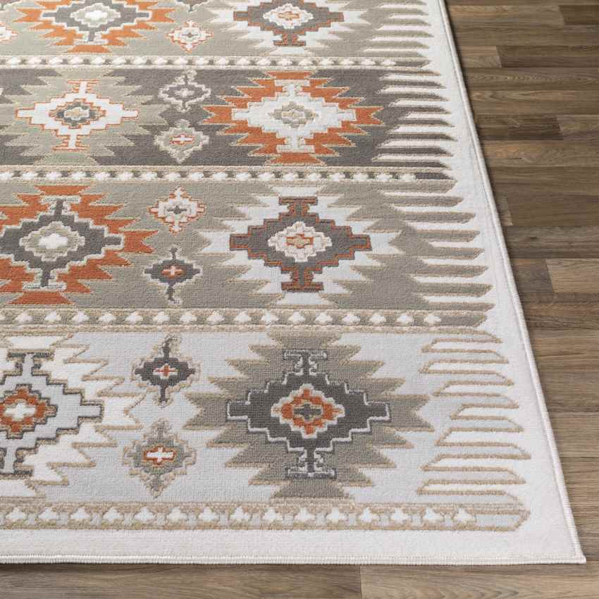 Landerd Rustic Light Gray Area Rug