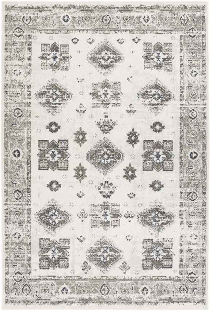Royston Traditional Light Gray Area Rug