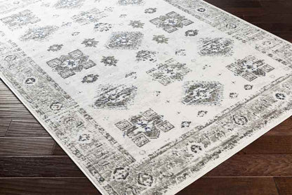 Royston Traditional Light Gray Area Rug