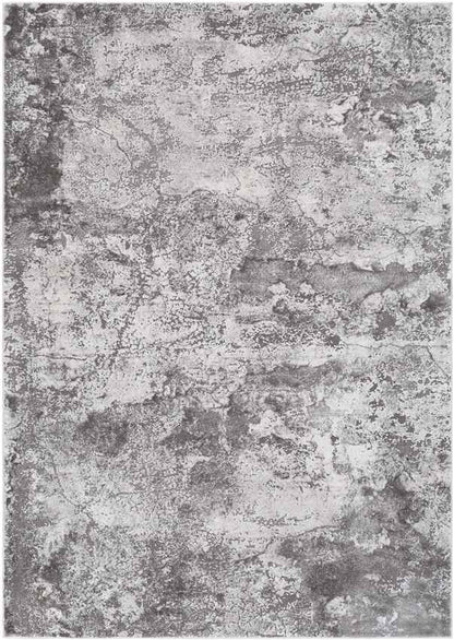 Landgraaf Modern Medium Gray Area Rug
